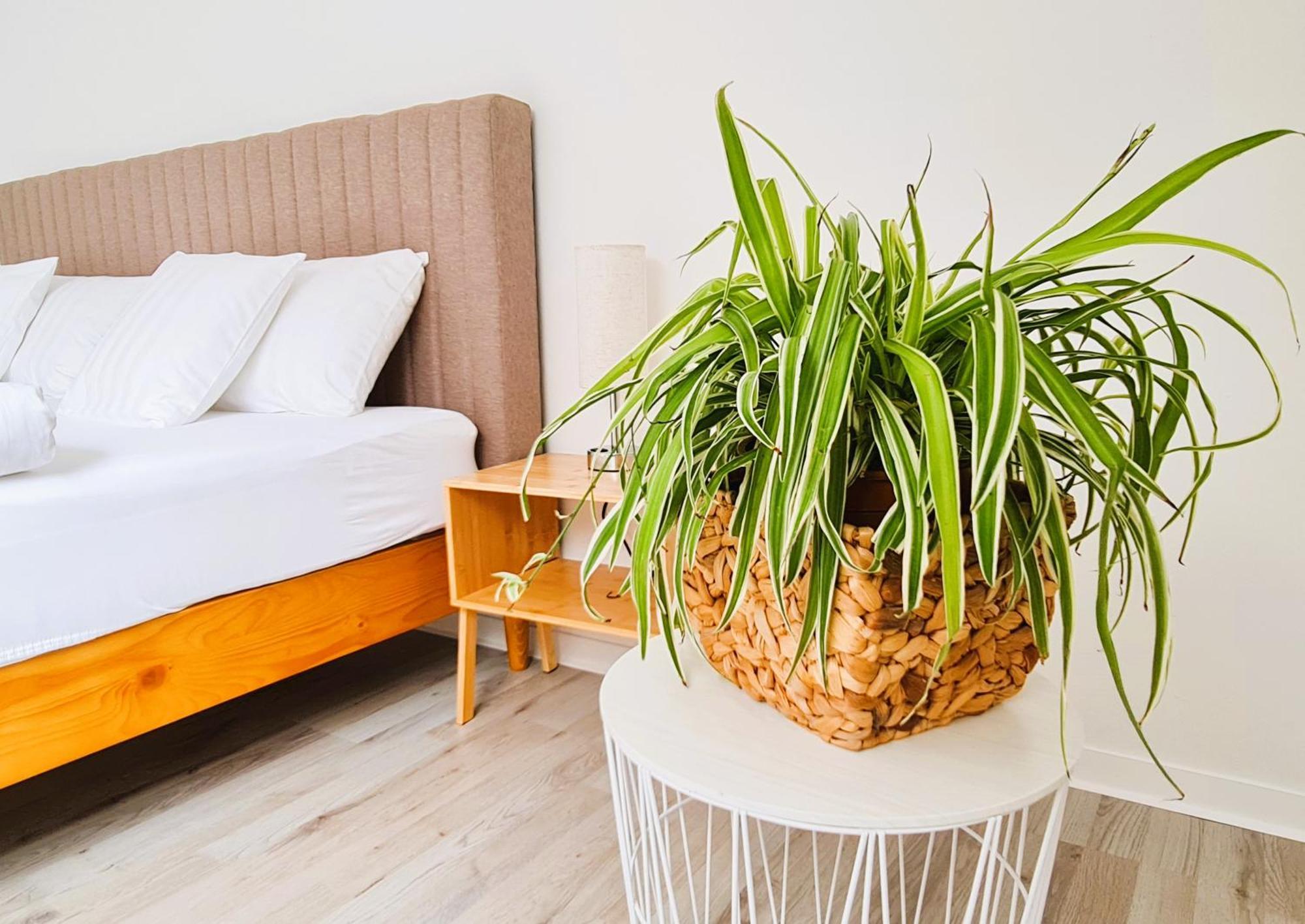 Apartment Naehe Airbus Manching Ngoại thất bức ảnh